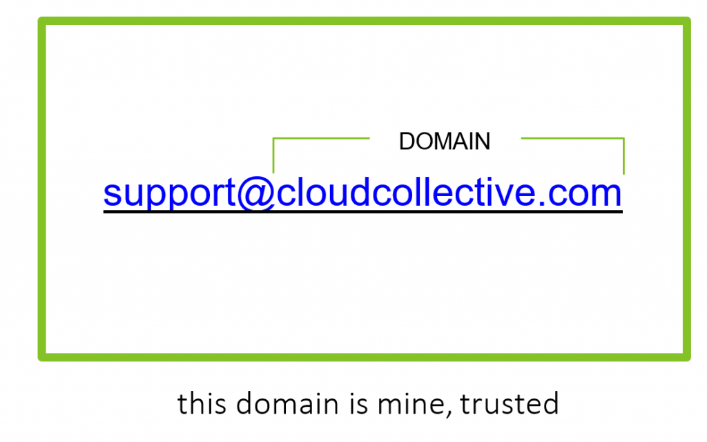 Identifying fake domains 