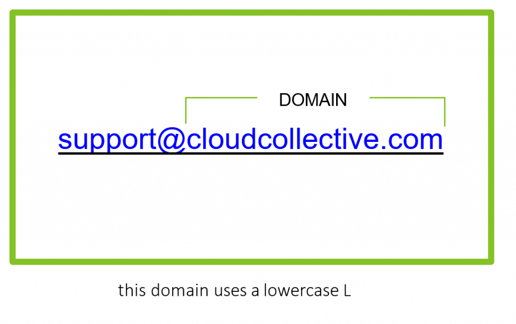 Identifying fake domains 